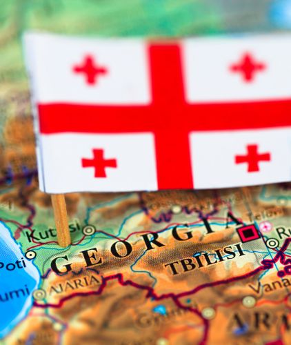 Contact Albatross Travel