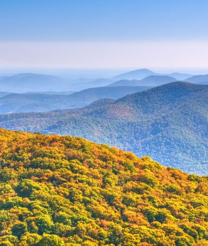 About Albatross Travel